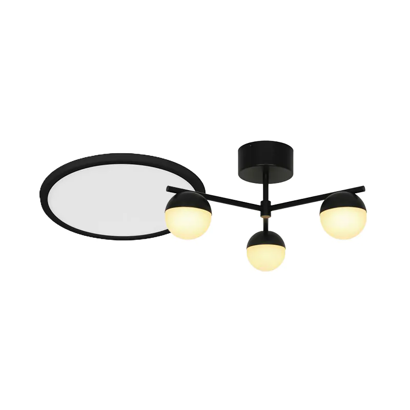 Plafondlampen zwart