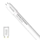 Noxion LED Buis T8 Avant (EM/Mains) Standard Output 19W 2300lm - 830 Warm Wit | 150cm - Vervangt 58W